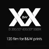Cinestill BW XX - Image 18