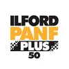 Ilford PAN-F PLUS - Image 89