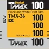 Kodak T-MAX - Image 161