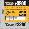 Kodak T-MAX P - Image 171