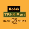 Kodak TRI-X - Image 177