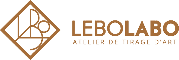 Lebolabo logo