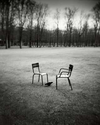 Bird and Chairs, Tuileries Garden