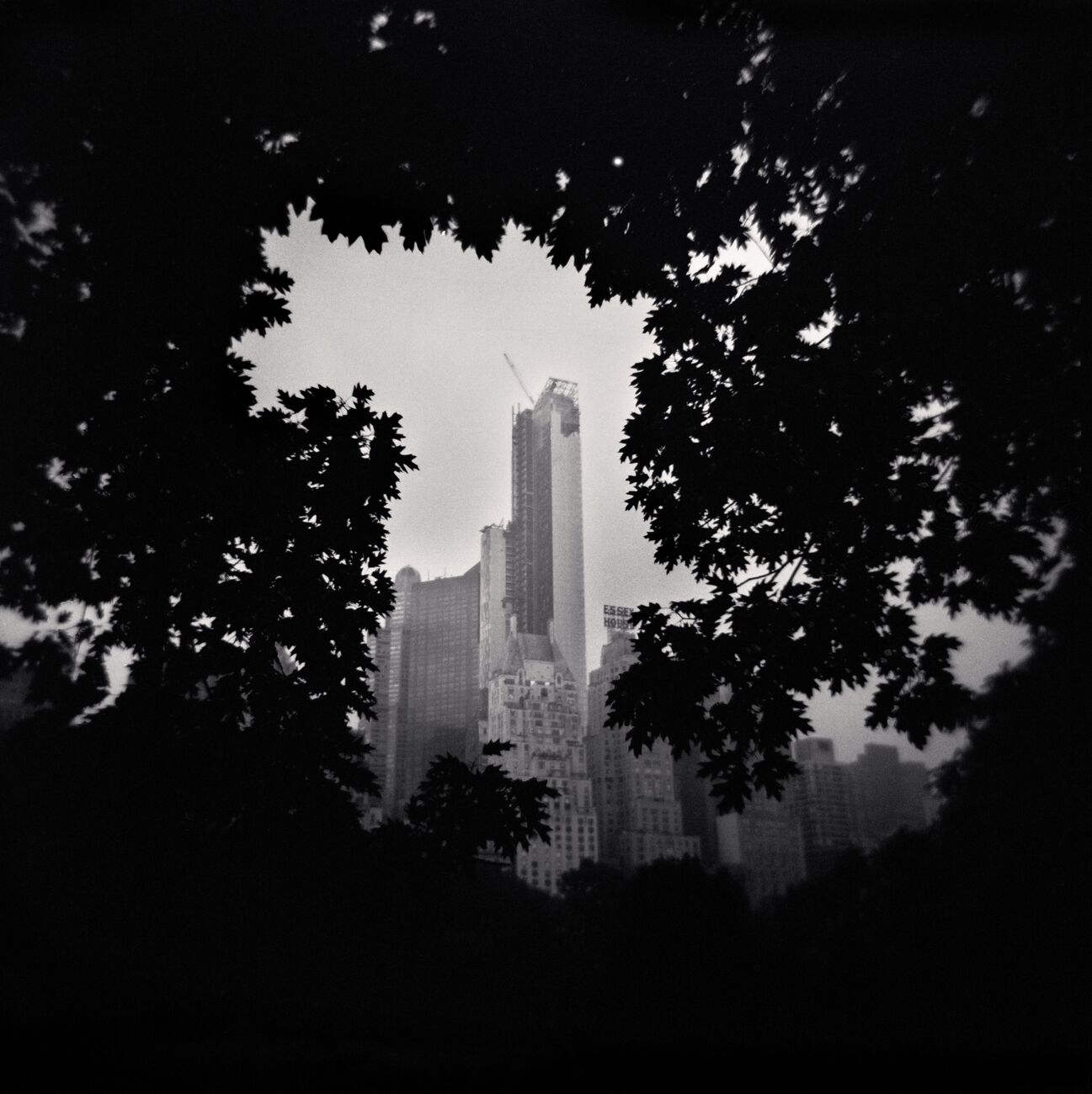 Breathe, Central Park, Manhattan, New York, USA. Juillet 2013. Ref-1369 - Denis Olivier Photographie