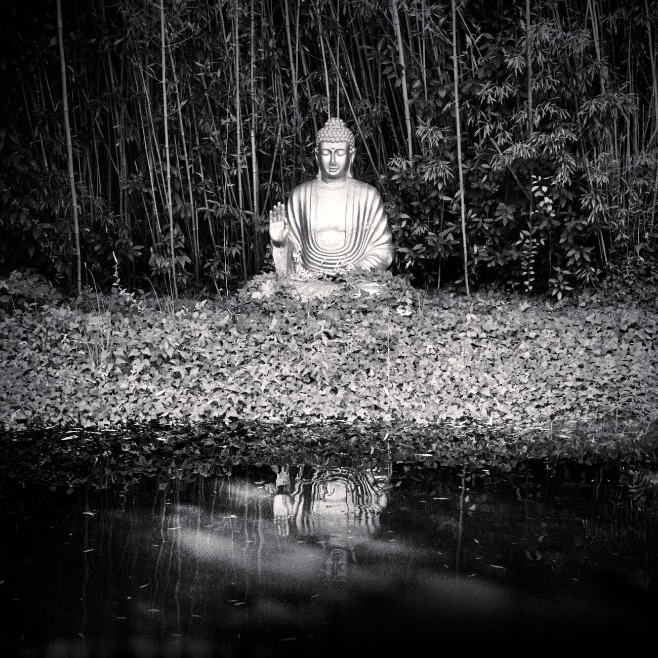 Tirage photographique 40 x 40 cm, Buddha. Ref-11560-11 - Denis Olivier Photographie d'Art
