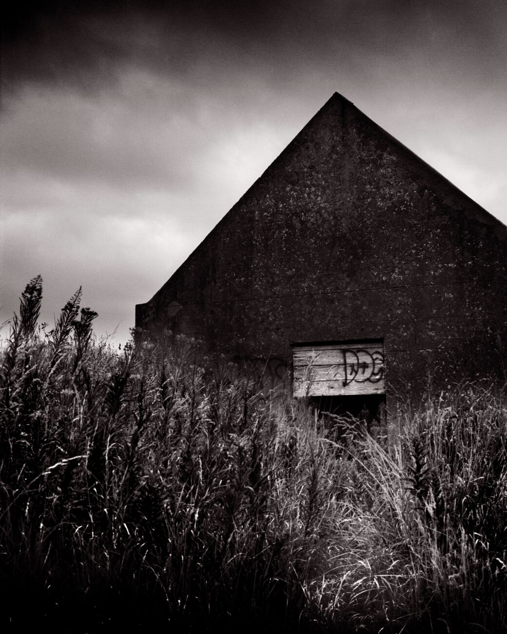 Bunker Entrance, Newburgh, Aberdeenshire, Écosse. Août 2022. Ref-11613 - Denis Olivier Photographie