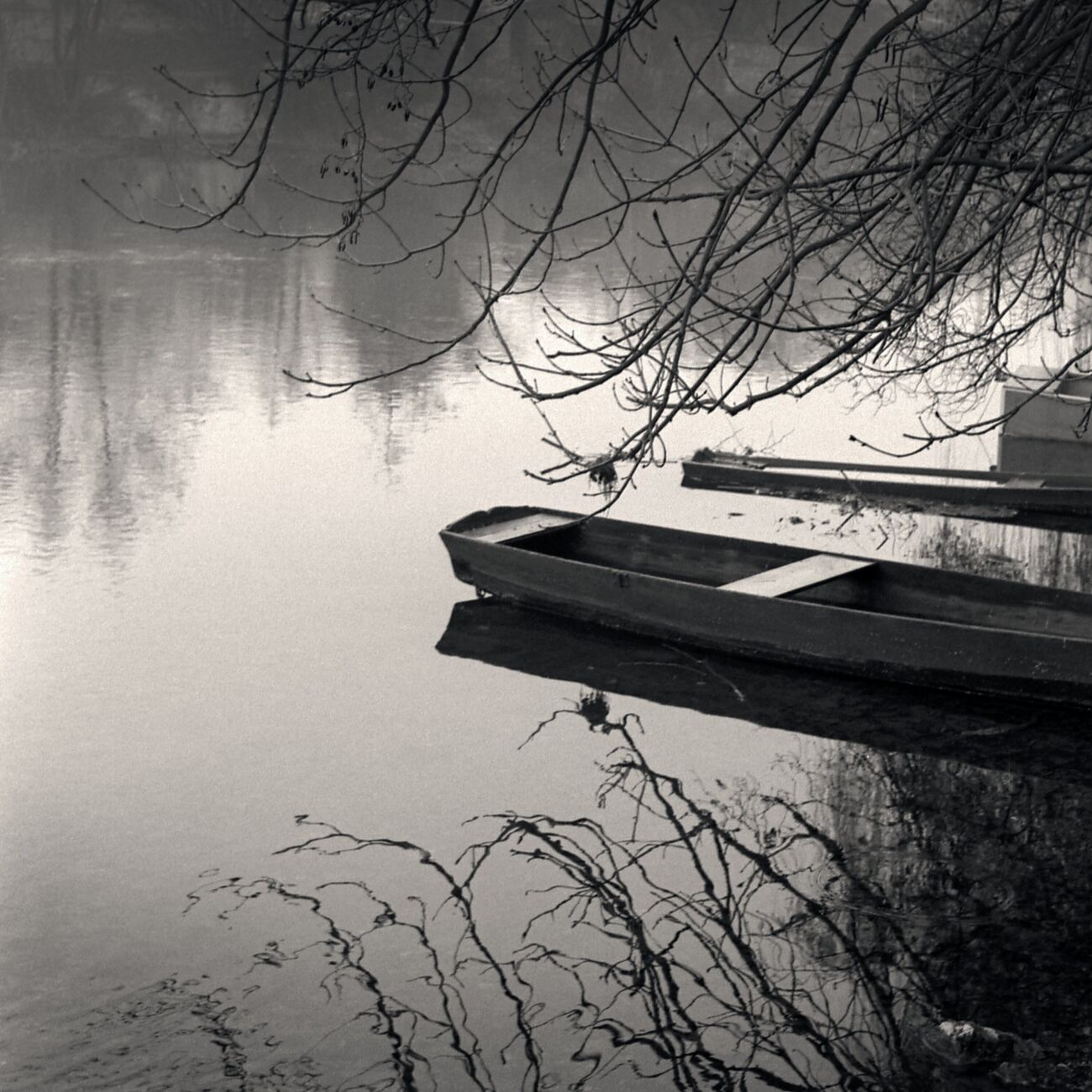 Clain River, Poitiers, France. Décembre 1989. Ref-913 - Denis Olivier Photographie