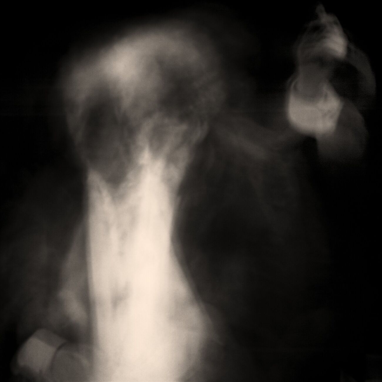 Ghost Opera, Study 10, The Swan Lake, Berlin. Avril 1998. Ref-860 - Denis Olivier Photographie