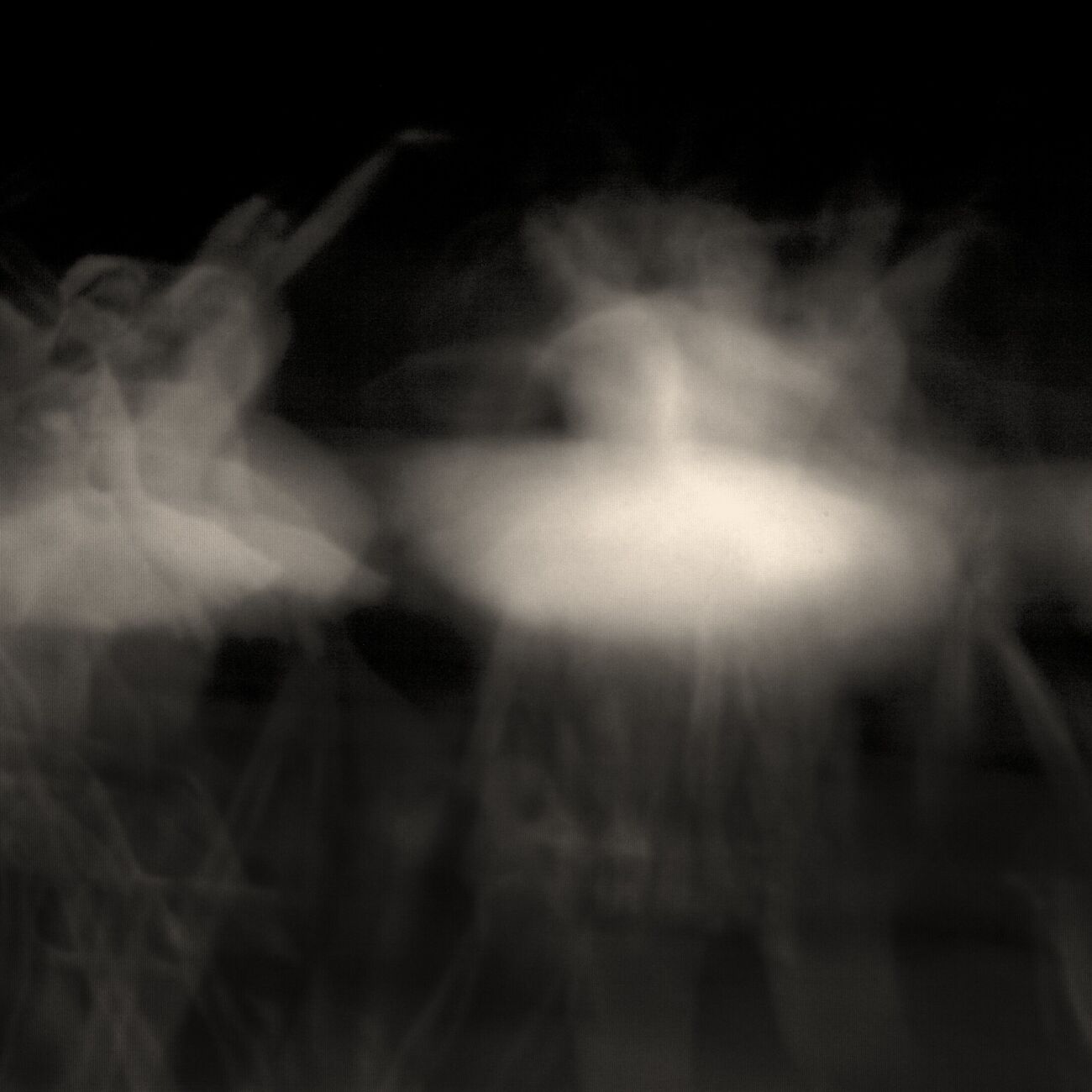 Ghost Opera, Study 14, The Swan Lake, Berlin, Allemagne. Avril 1998. Ref-864 - Denis Olivier Photographie