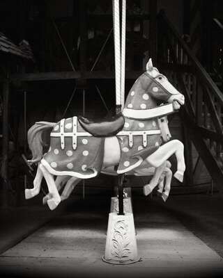Merry-Go-Round Horses, Asterix Park, Plailly