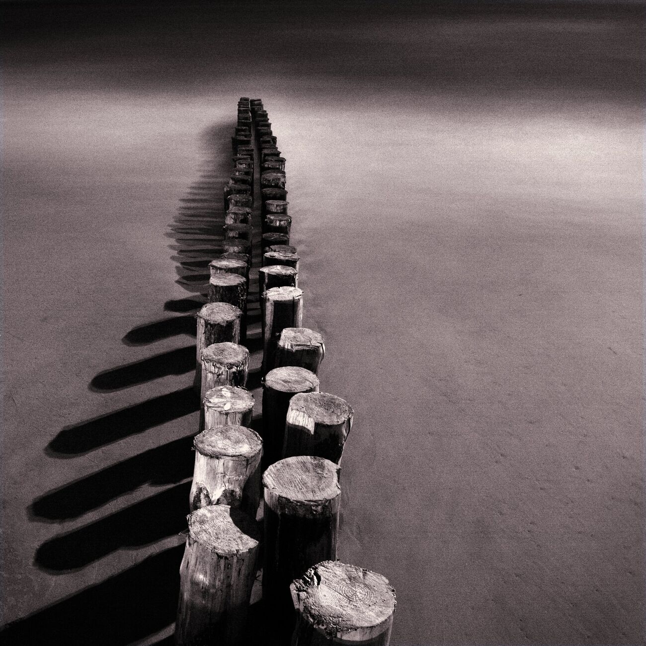 Moonlight Shadows, Cap Ferret, France. Juin 2005. Ref-680 - Denis Olivier Photographie