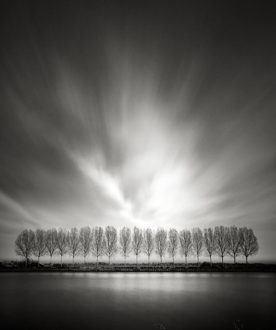 Nineteen Trees, Kanaaldijk Oost, Utrecht, Pays-Bas. Avril 2015. Ref-11690 - Denis Olivier Photographie d'Art