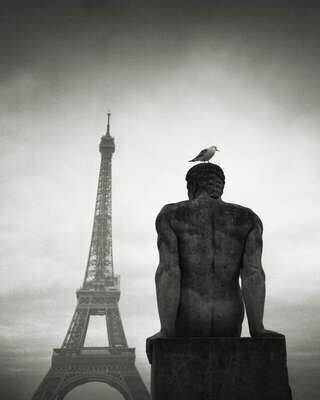 Seagull Over The Man, Trocadéro Garden, Paris, France. Février 2023. Ref-11656 - Denis Olivier Photographie d'Art