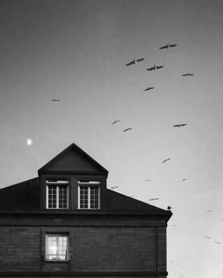 Seagulls flying under the moon, Saint-Malo