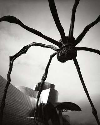 Spider, Bilbao