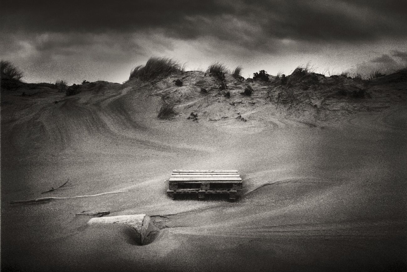 Stranded Driftwoods, Pointe De La Coubre, France. Juin 2020. Ref-1347 - Denis Olivier Photographie