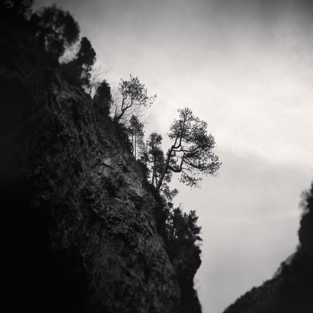 Trees On The Hillside, Ordesa Y Monte Perdido National Park, Espagne. Février 2022. Ref-11529 - Denis Olivier Photographie