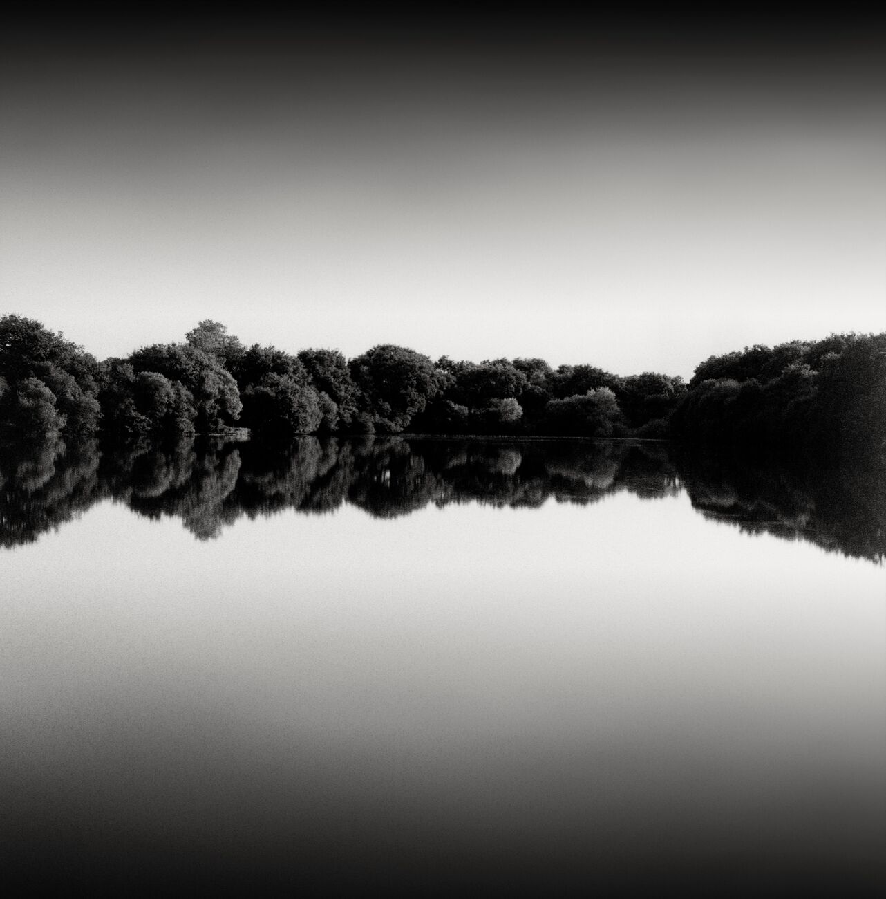 Tirage photographique 22.7 x 23 cm, Woods at dusk. Ref-1351-3 - Denis Olivier Photographie d'Art
