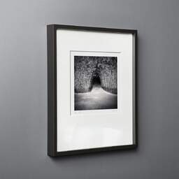 Photographie d'art et collection Denis Olivier, Bamboo Tunnel, Royan, France. Novembre 2021. Ref-11519 - Denis Olivier Photographie, cadre bois noir sur fond gris