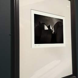 Photographie d'art et collection Denis Olivier, Guggenheim Museum, Etude 1, Bilbao, Espagne. Septembre 2013. Ref-1375 - Denis Olivier Photographie d'Art, ancien cadre bois marron sur fond gris foncé