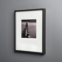 Photographie d'art et collection Denis Olivier, Moonlight Shadows, Cap Ferret, France. Juin 2005. Ref-680 - Denis Olivier Photographie, cadre bois noir sur fond gris