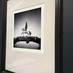 Photographie d'art et collection Denis Olivier, Pegasus, Bordeaux, France. Novembre 2021. Ref-11516 - Denis Olivier Photographie, ancien cadre bois marron sur fond gris foncé