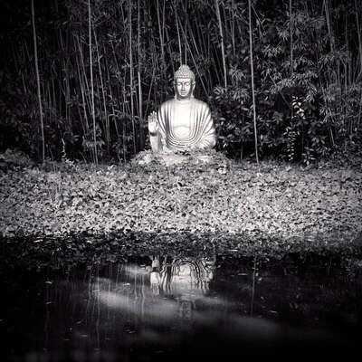 Buddha, Royan, France. July 2022. Ref-11560 - Denis Olivier Art Photography