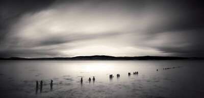 Bunchrew House Bay, Beauly Firth, Scotland. April 2006. Ref-1144 - Denis Olivier Art Photography