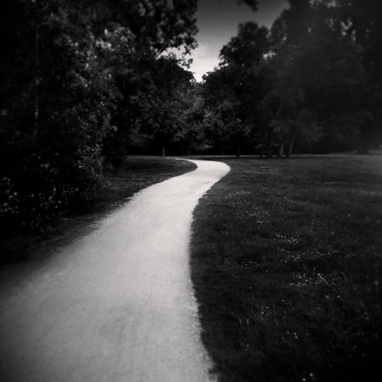 Curved Path, Plaisance-du-Touch, France. June 2021. Ref-11463 - Denis Olivier Photography
