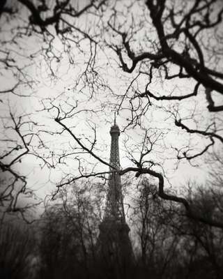 Eiffel Tower and Branches, Paris