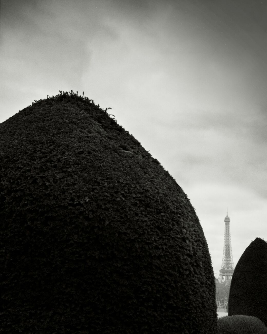 Eiffel Tower, Invalides Garden, Paris, France. February 2023. Ref-11676 - Denis Olivier Art Photography