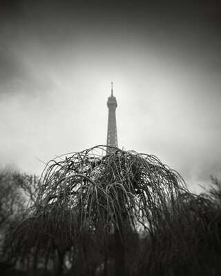 Eiffel Tower, Park And Gardens, Paris, France. February 2023. Ref-11678 - Denis Olivier Art Photography