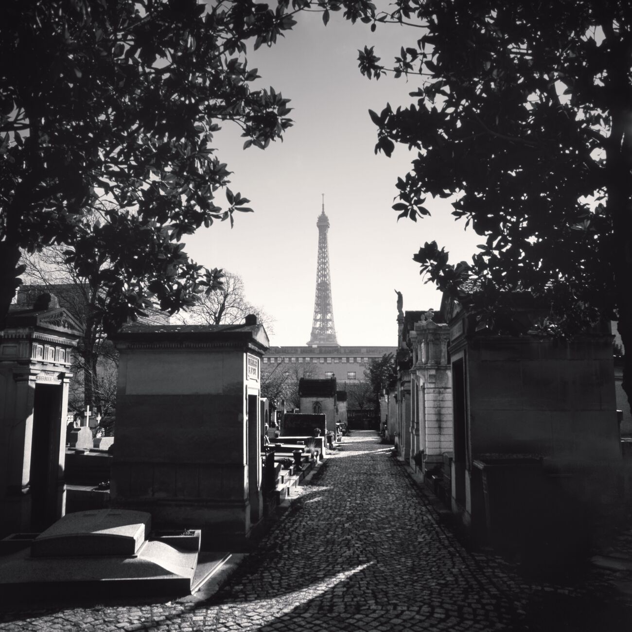 Eiffel Tower, Passy Cemetery, Paris, France. February 2022. Ref-11537 - Denis Olivier Photography