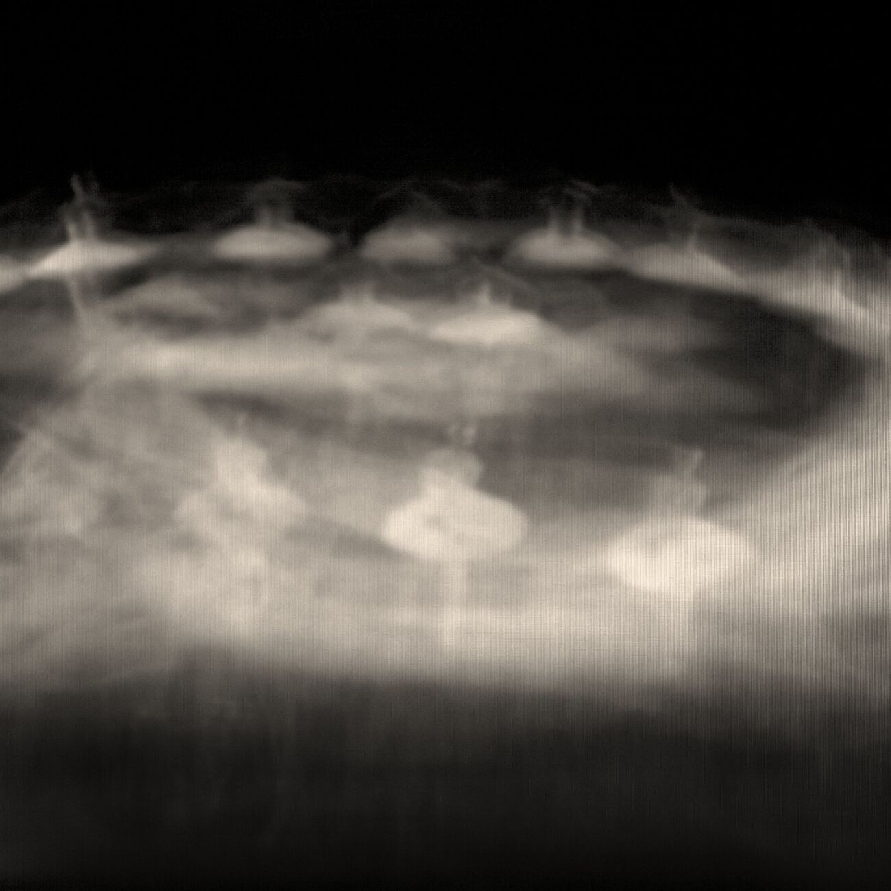 Ghost Opera, Study 9, The Swan Lake, Berlin. April 1998. Ref-859 - Denis Olivier Photography