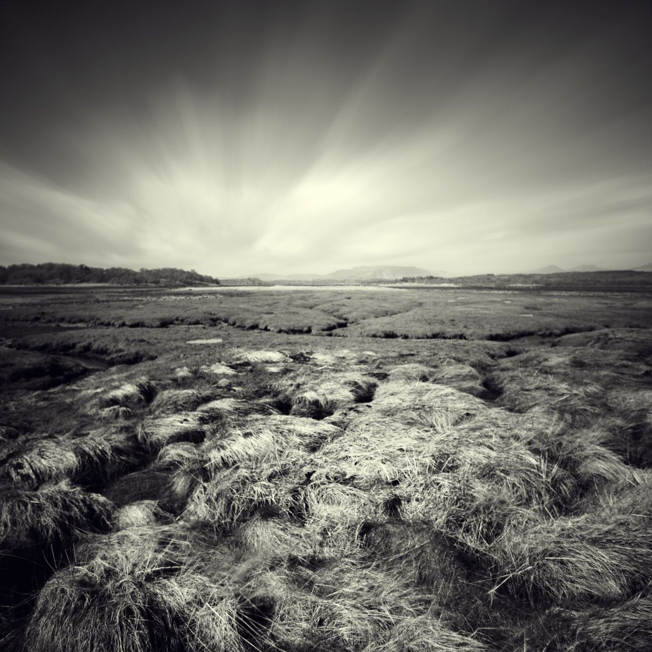 Grass, Darrannoch, Scotland. April 2006. Ref-983 - Denis Olivier Photography