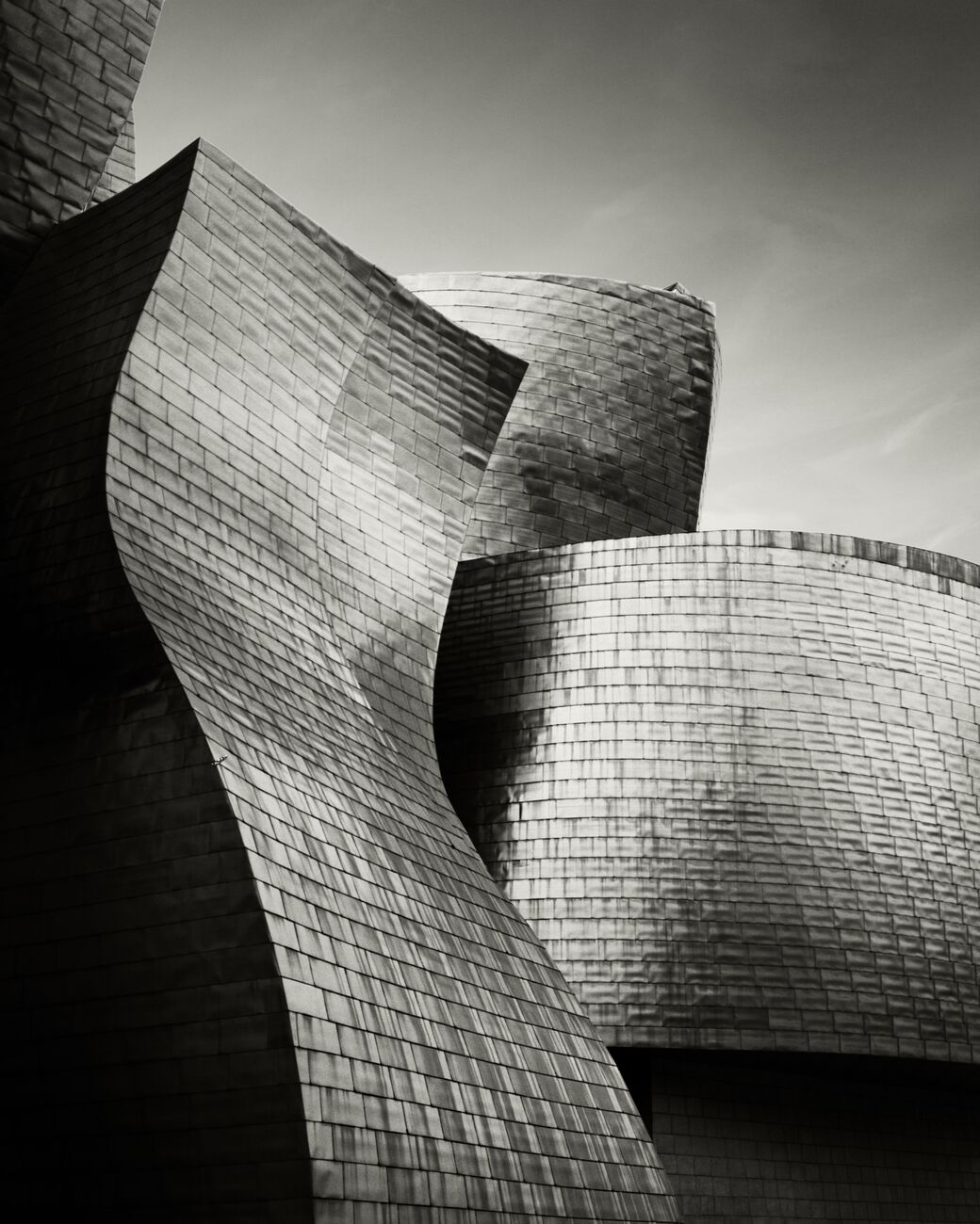 Guggenheim Museum, Etude 2, Bilbao, Spain. February 2022. Ref-11635 - Denis Olivier Photography