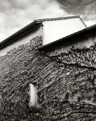 Ivy House, Royan, France. December 2023. Ref-11655 - Denis Olivier Photography