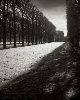 Light Over Great Lawn, Luxembourg Garden, France. February 2022. Ref-11663 - Denis Olivier Photography