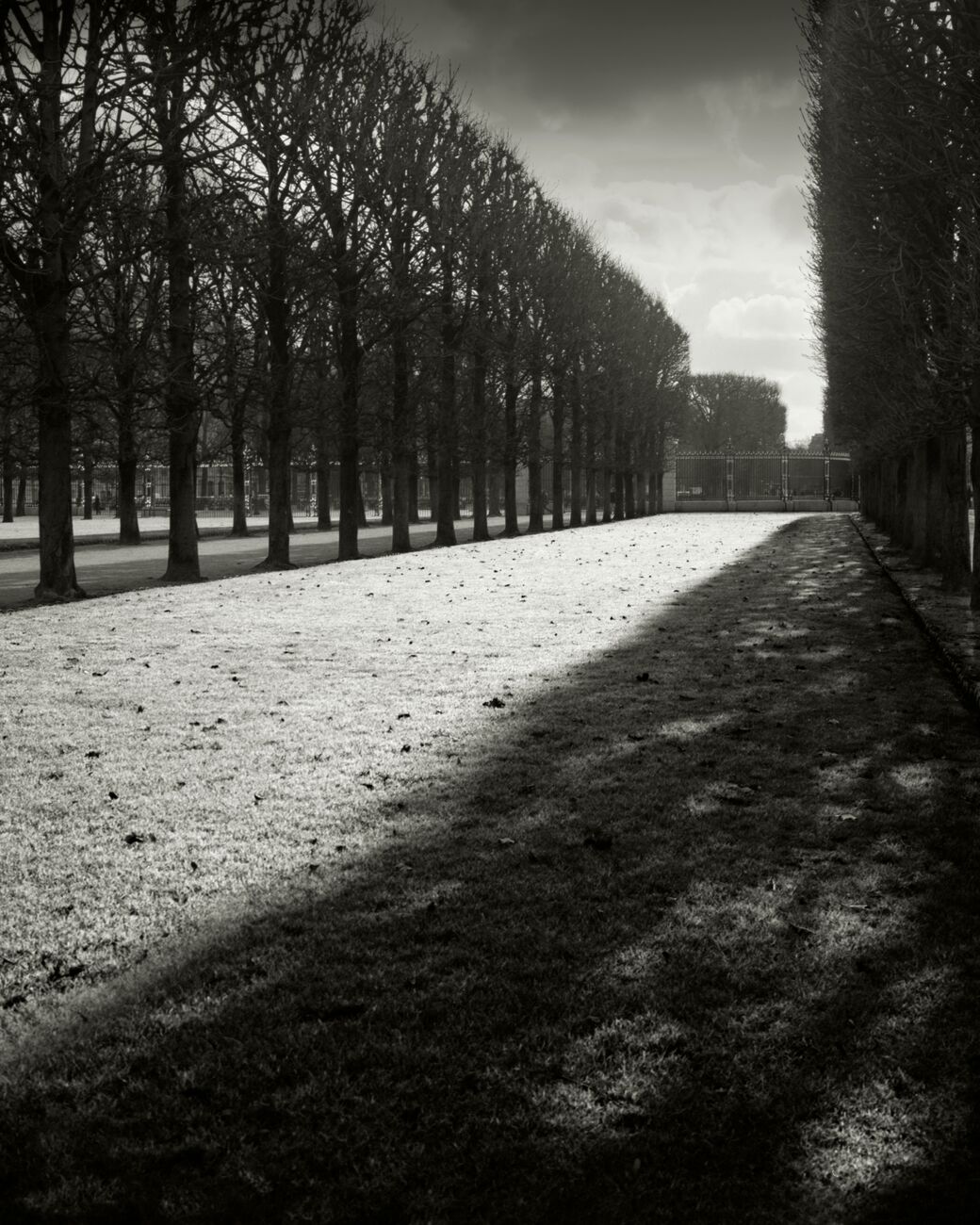 Photograph 22 x 27.6 in, Light over Great Lawn. Ref-11663-5 - Denis Olivier Art Photography