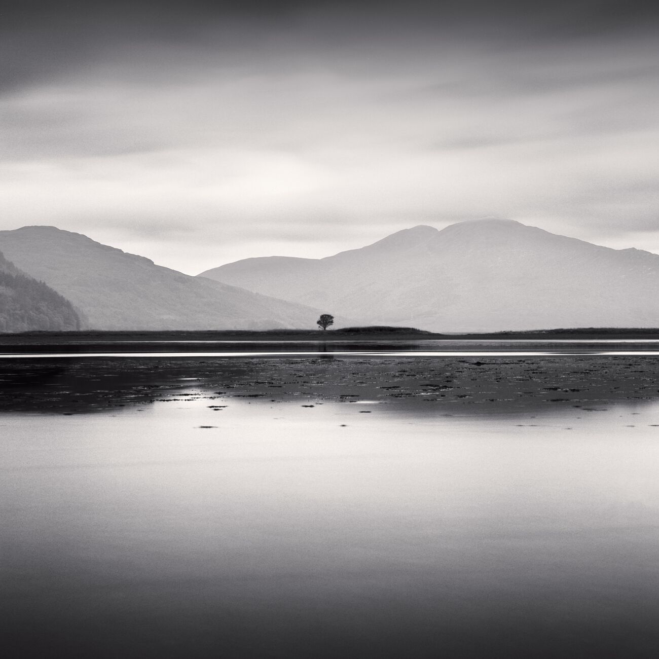 Lonely Tree, Eilean Thioram, Highlands, Scotland. August 2022. Ref-11596 - Denis Olivier Art Photography