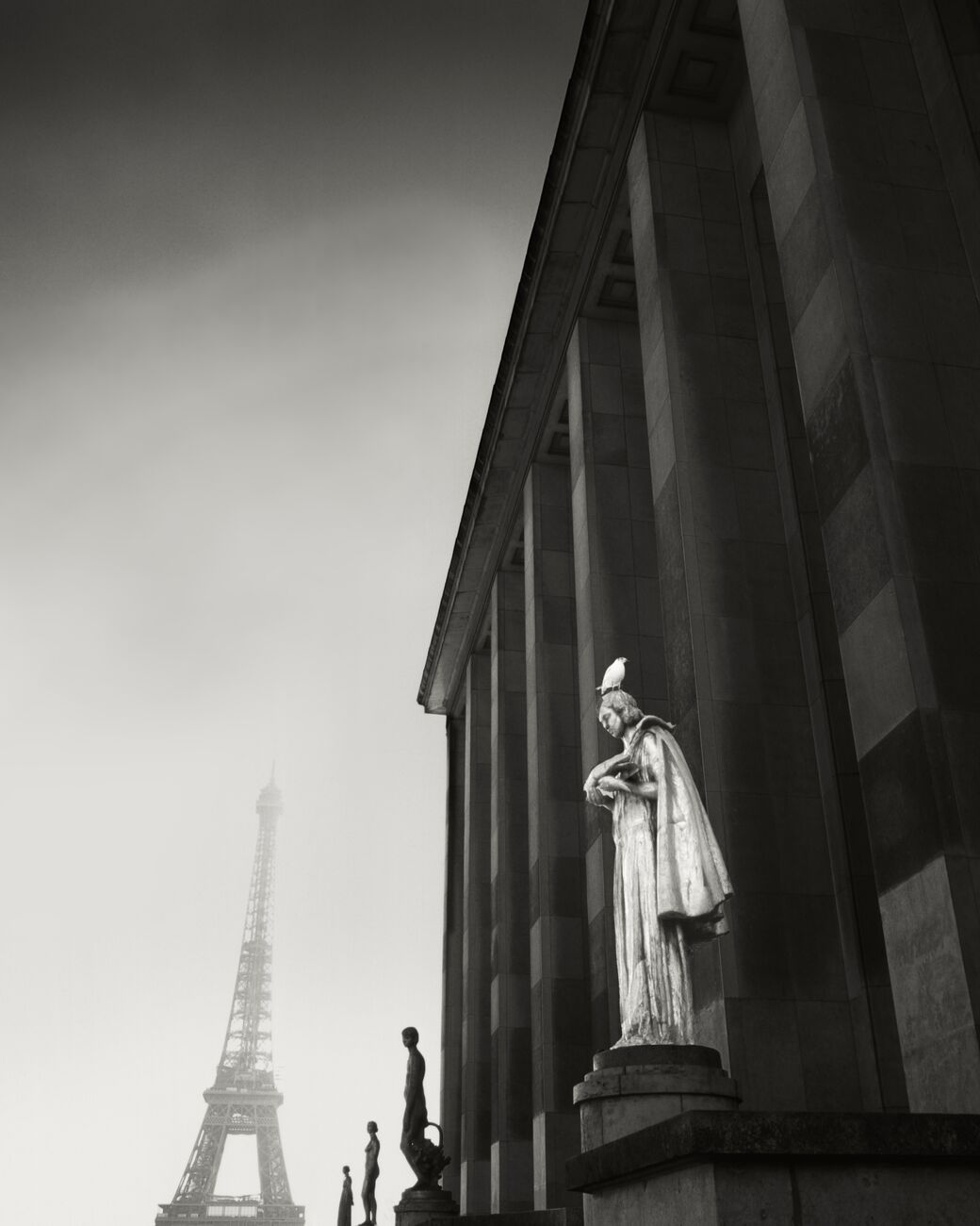 Musée De L'Homme, Palais De Chaillot, Paris, France. February 2022. Ref-11650 - Denis Olivier Photography