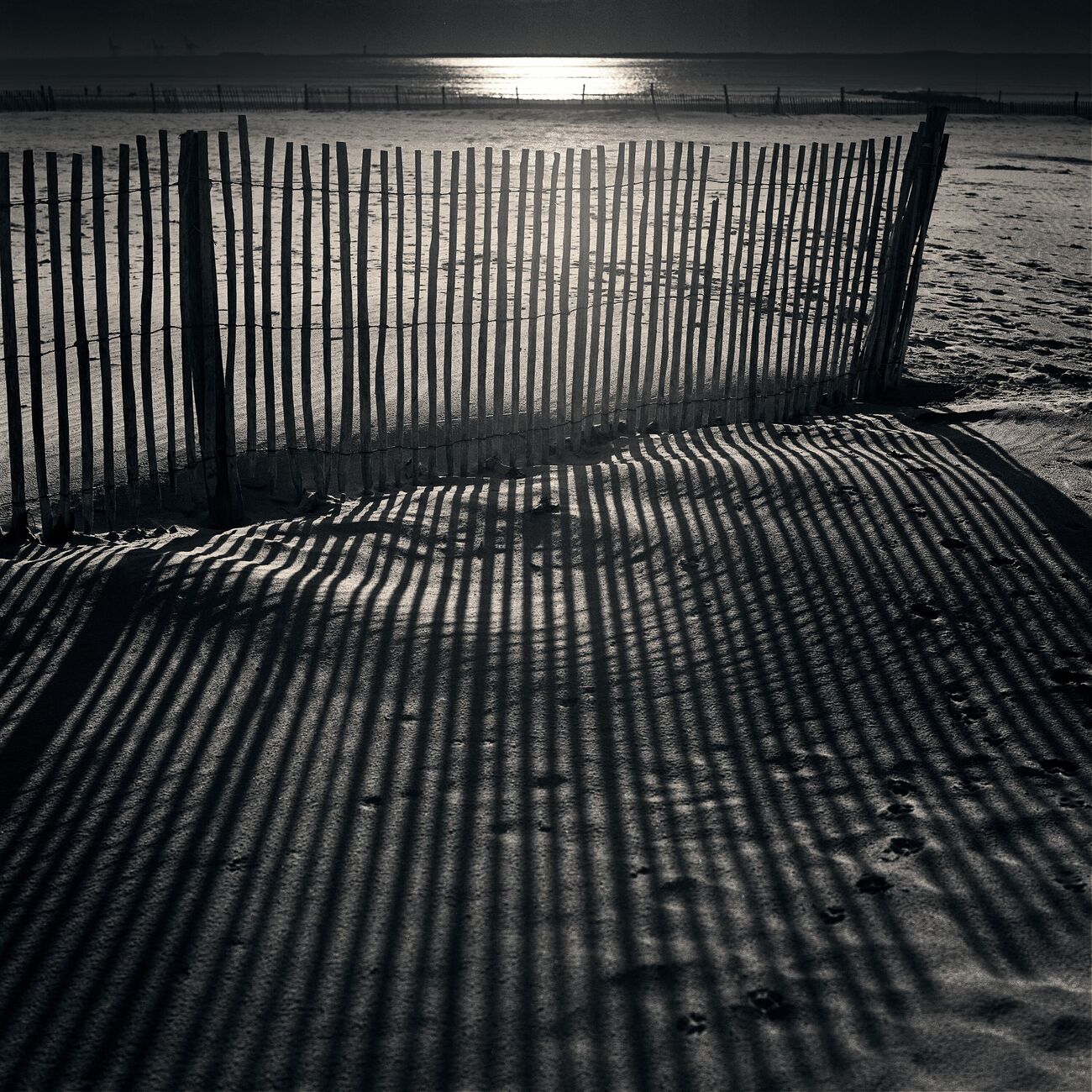 Photography 17.7 x 17.7 in, Sand Fences. Ref-927-4 - Denis Olivier Photography