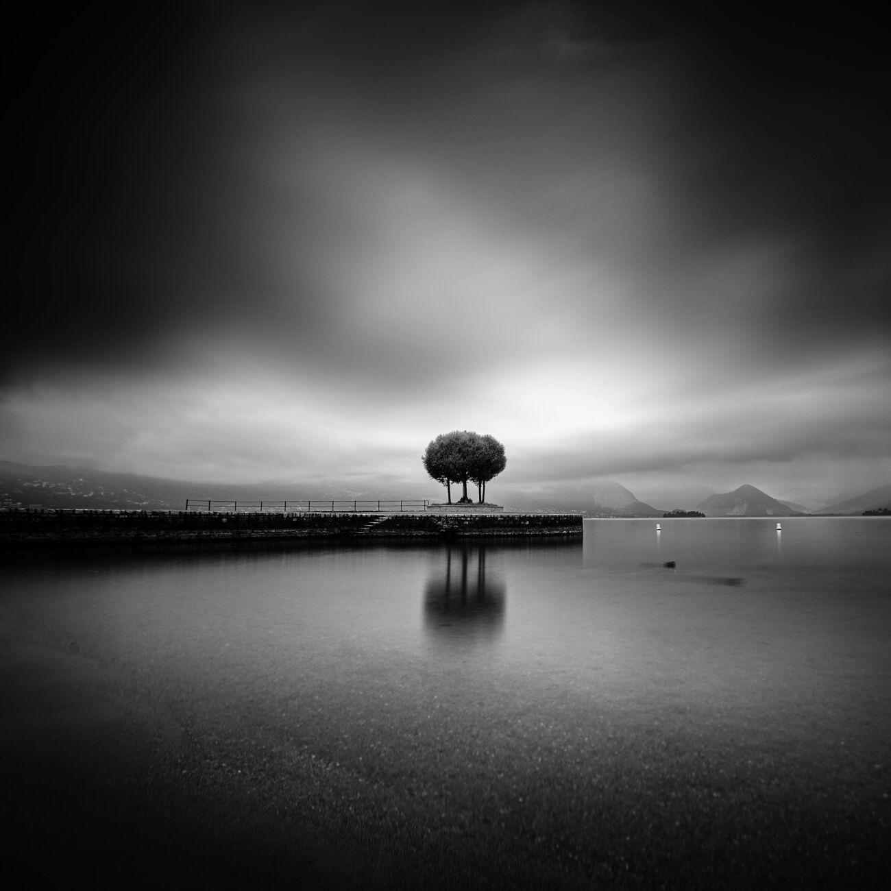 Photography 17.7 x 17.7 in, Trees on pier, etude 1. Ref-11451-4 - Denis Olivier Photography