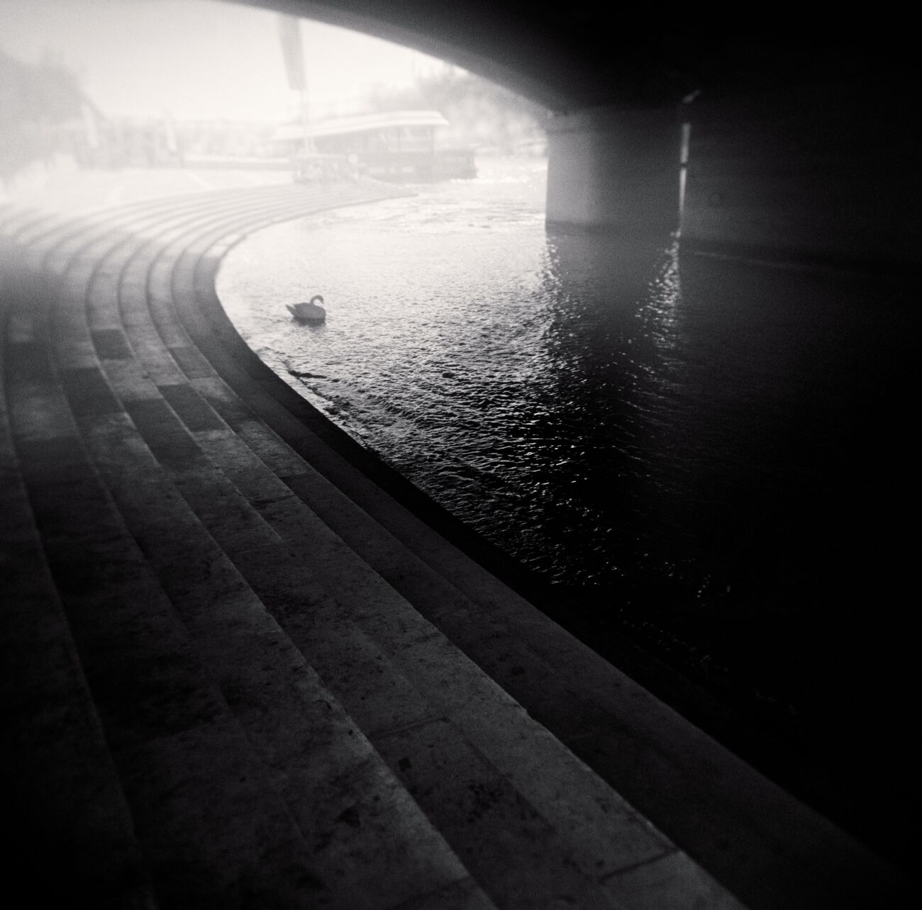 Under Iéna Bridge, Paris, France. August 2021. Ref-11504 - Denis Olivier Photography