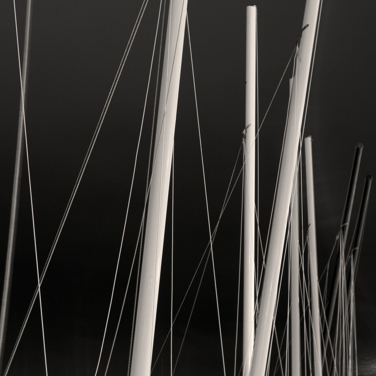 Order a 17.7 x 17.7 in, Waiting for the wind. Ref-666-4 - Denis Olivier Art Photography