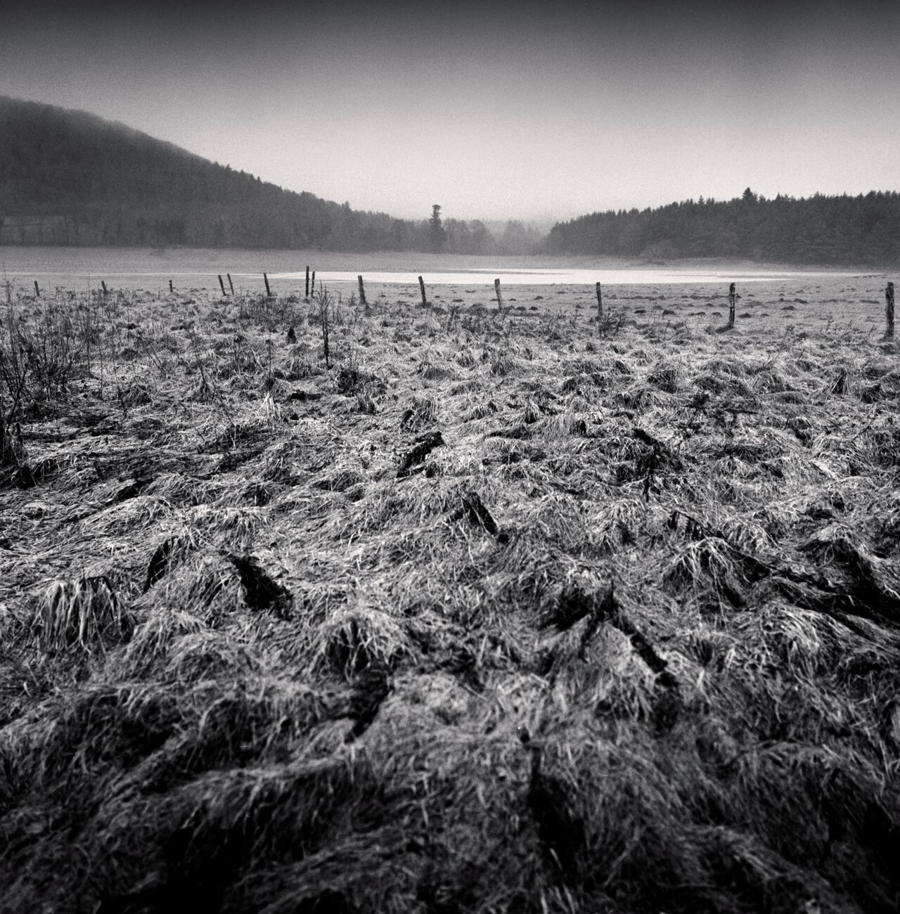 Wet Fields, Aydat, Puy-de-Dôme, Auvergne, France. December 2021. Ref-11521 - Denis Olivier Art Photography