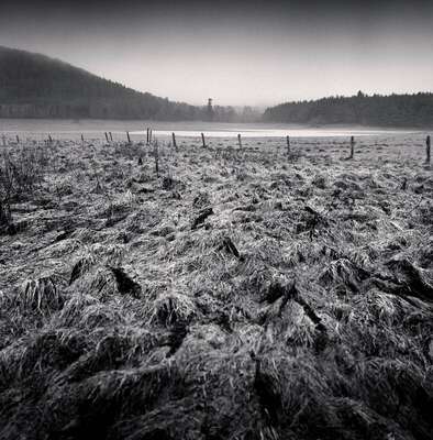 Wet Fields, Aydat, Puy-de-Dôme, Auvergne, France. December 2021. Ref-11521 - Denis Olivier Art Photography