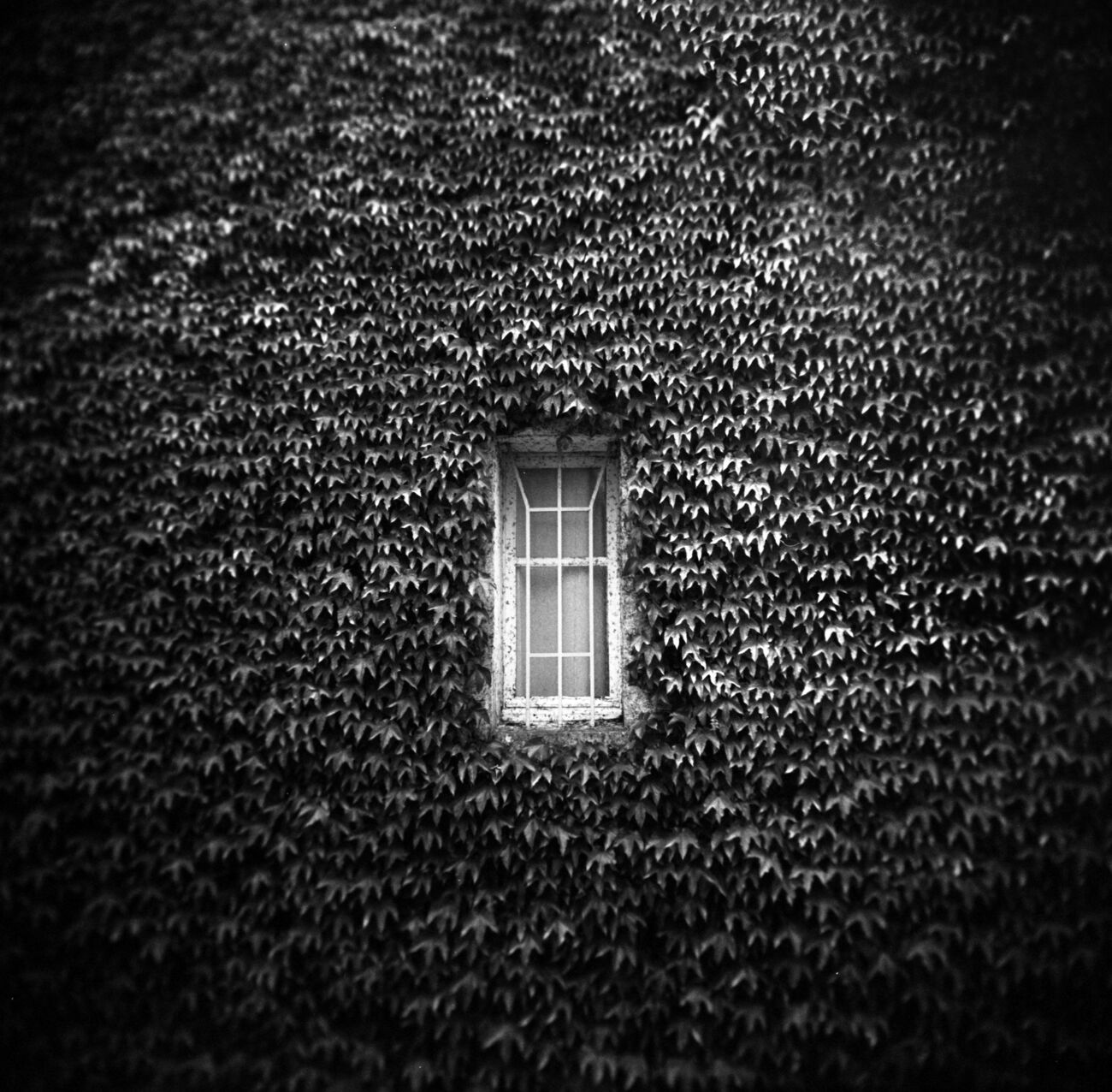 Window, Royan, France. May 2021. Ref-11452 - Denis Olivier Photography