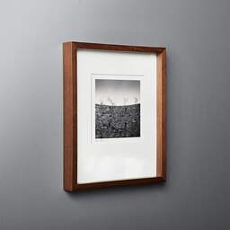 Art and collection photography Denis Olivier, 4 Trees, Talmont, France. March 2005. Ref-11539 - Denis Olivier Photography, original fine-art photograph in limited edition and signed in dark wood frame