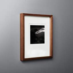 Art and collection photography Denis Olivier, Anne, Poitiers, France. April 1990. Ref-998 - Denis Olivier Photography, original fine-art photograph in limited edition and signed in dark wood frame